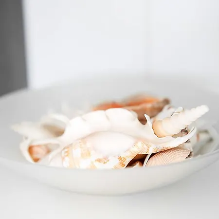 Daire Ruraue Millich